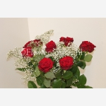 Rode rozen 60 cm met gipskruid